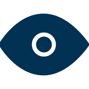 icon vision
